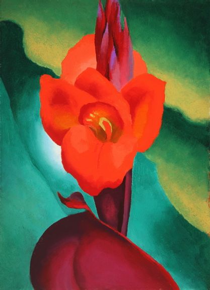 Bright red canna lily on green background.